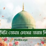 আমি দেখিনি তোমায় চোখের তারায় লিরিক্স ( Ami Dekhini Tomay Chokher Taray Lyrics)