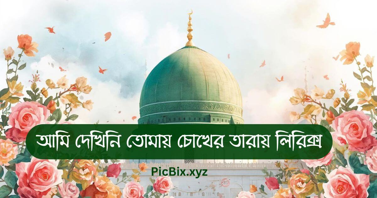 আমি দেখিনি তোমায় চোখের তারায় লিরিক্স ( Ami Dekhini Tomay Chokher Taray Lyrics)